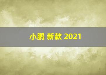 小鹏 新款 2021